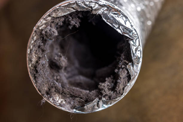 Best Air Duct Cleaning Near Me  in China Lake Acres, CA