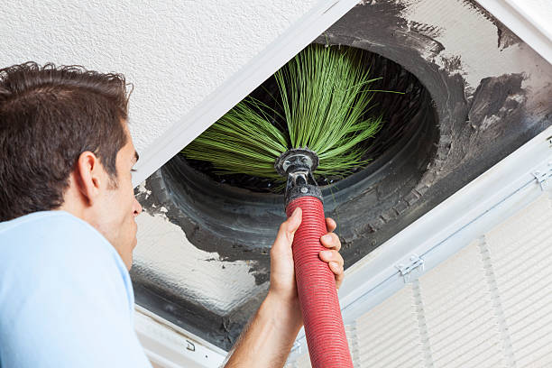 Best Affordable Duct Cleaning Services  in China Lake Acres, CA